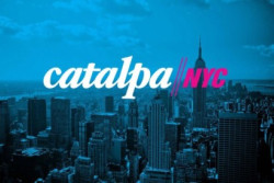 catalpa-1-410x256.jpg