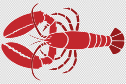 lobster2.png.jpg