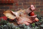pig-head-apple-150.jpg