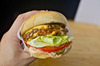 20100723-in-n-out-18-finished-hand.jpg