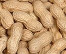 peanuts-in-shells.jpg