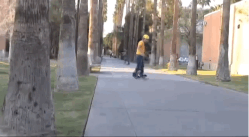 Post Modern Skateboard